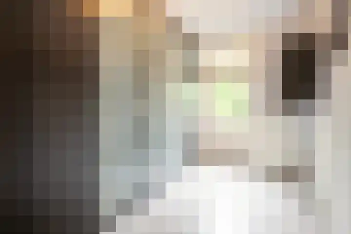 Holleweg 16 Herten thumbnail 20