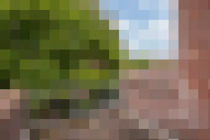 Holleweg 16 Herten thumbnail 21