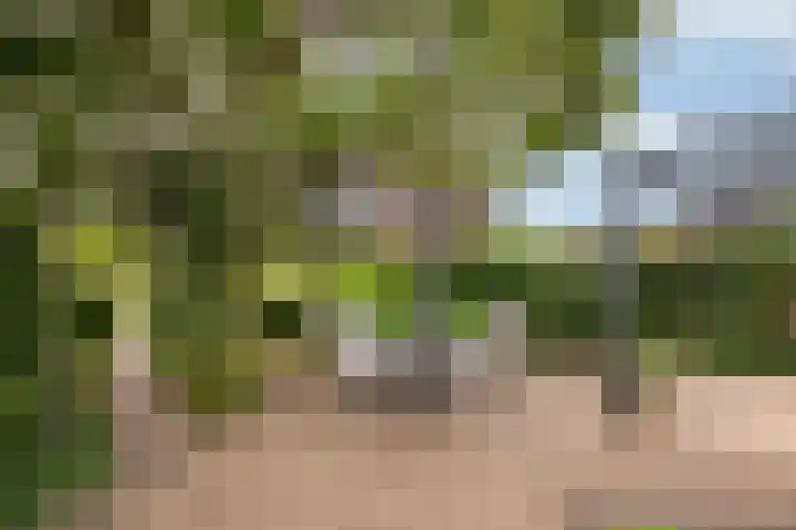 Holleweg 16 Herten thumbnail 27