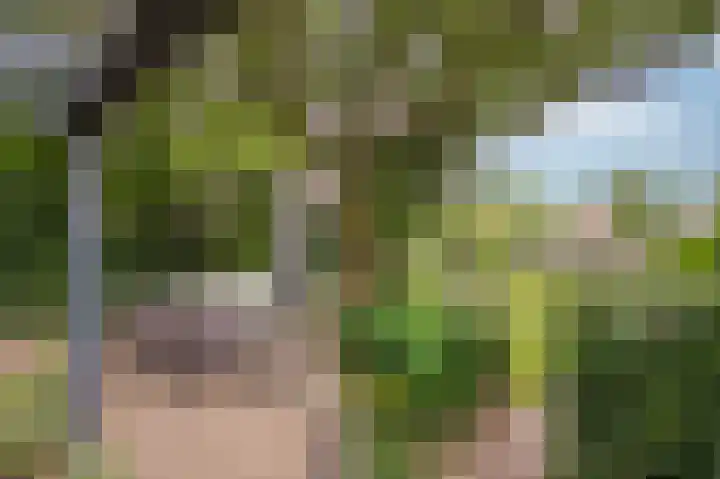 Holleweg 16 Herten thumbnail 30