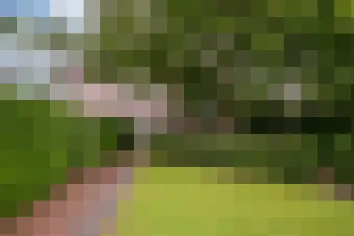 Holleweg 16 Herten thumbnail 32