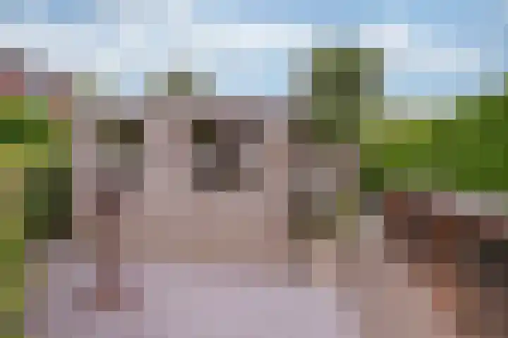 Holleweg 16 Herten thumbnail 34
