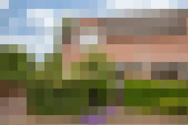 Holleweg 16 Herten thumbnail 35