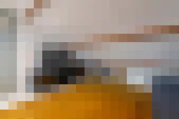Holleweg 16 Veenendaal thumbnail 30