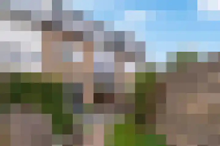 Holleweg 16 Veenendaal thumbnail 33