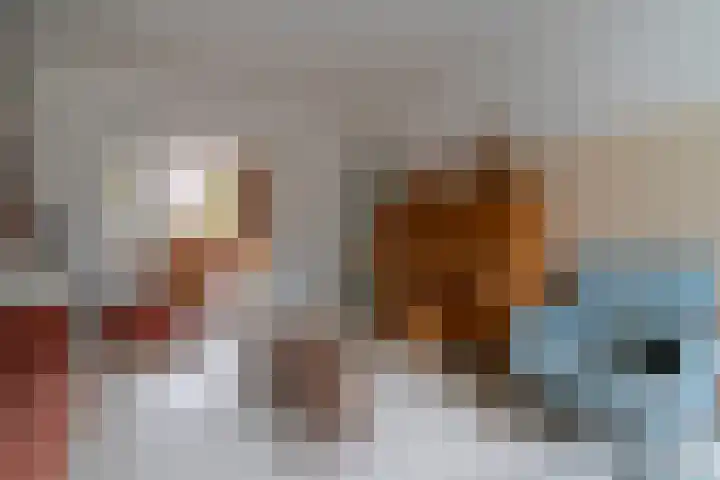 Holleweg 16 Veenendaal thumbnail 7