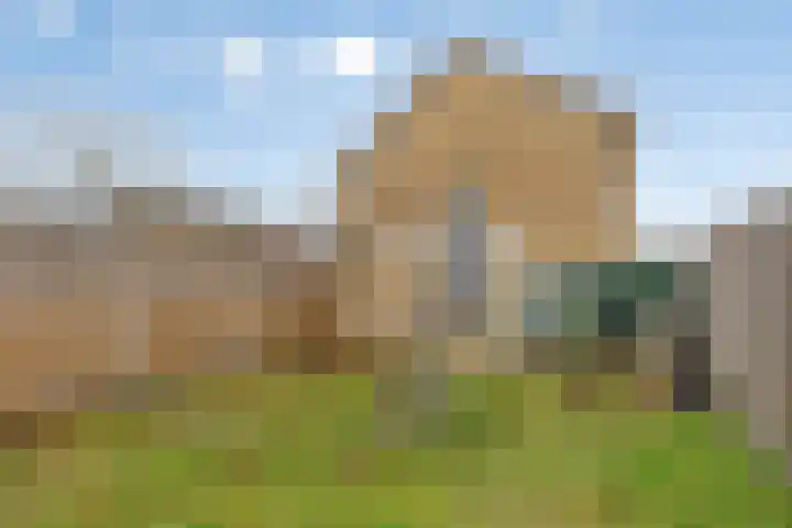 Holleweg 165 Bergen op Zoom thumbnail 20