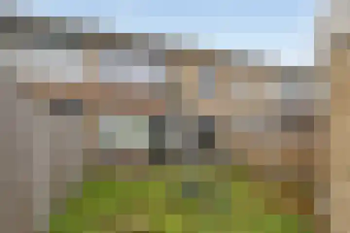 Holleweg 165 Bergen op Zoom thumbnail 21