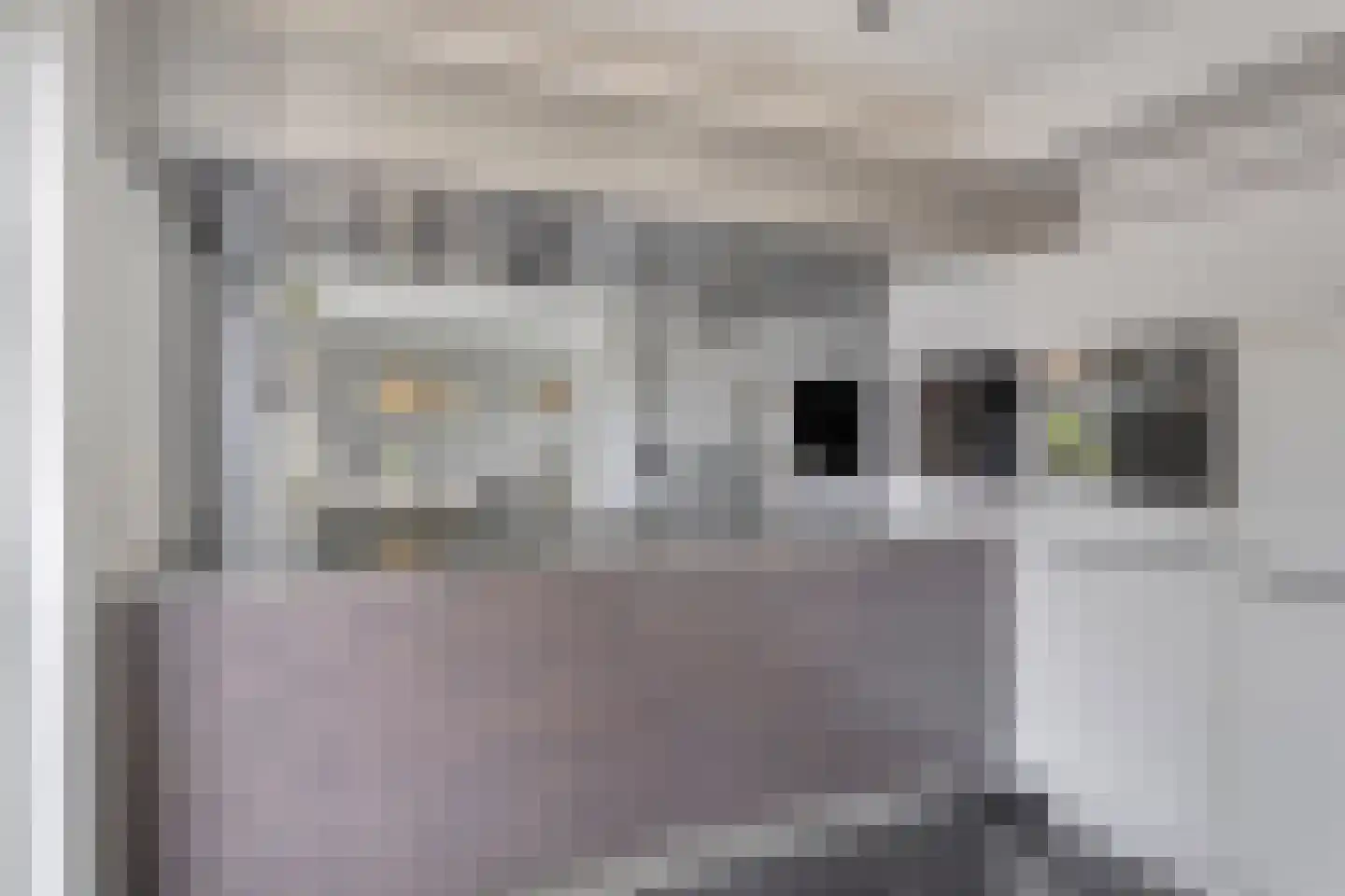 Holleweg 17 Herten thumbnail 15