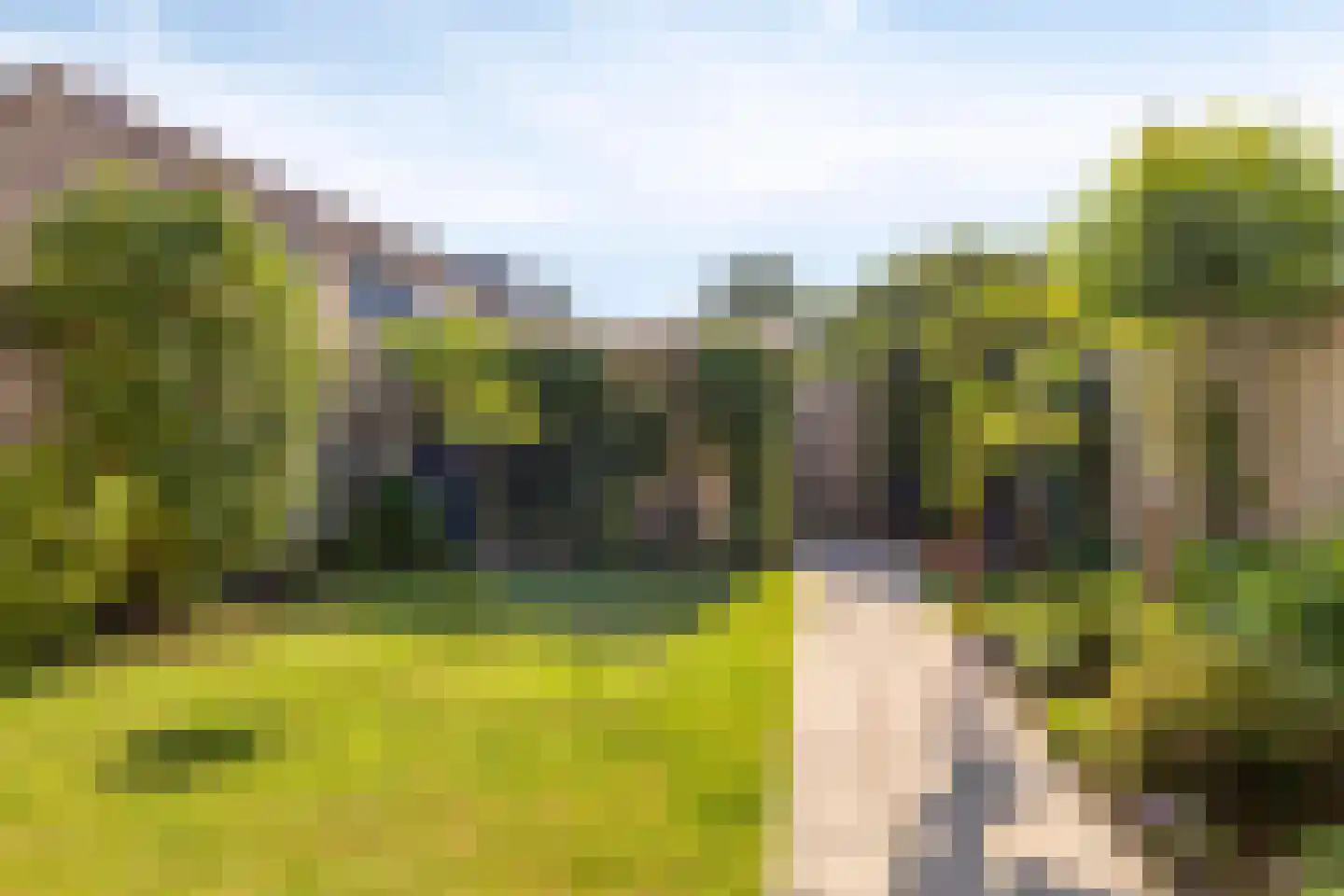 Holleweg 187 Bergen op Zoom thumbnail 5