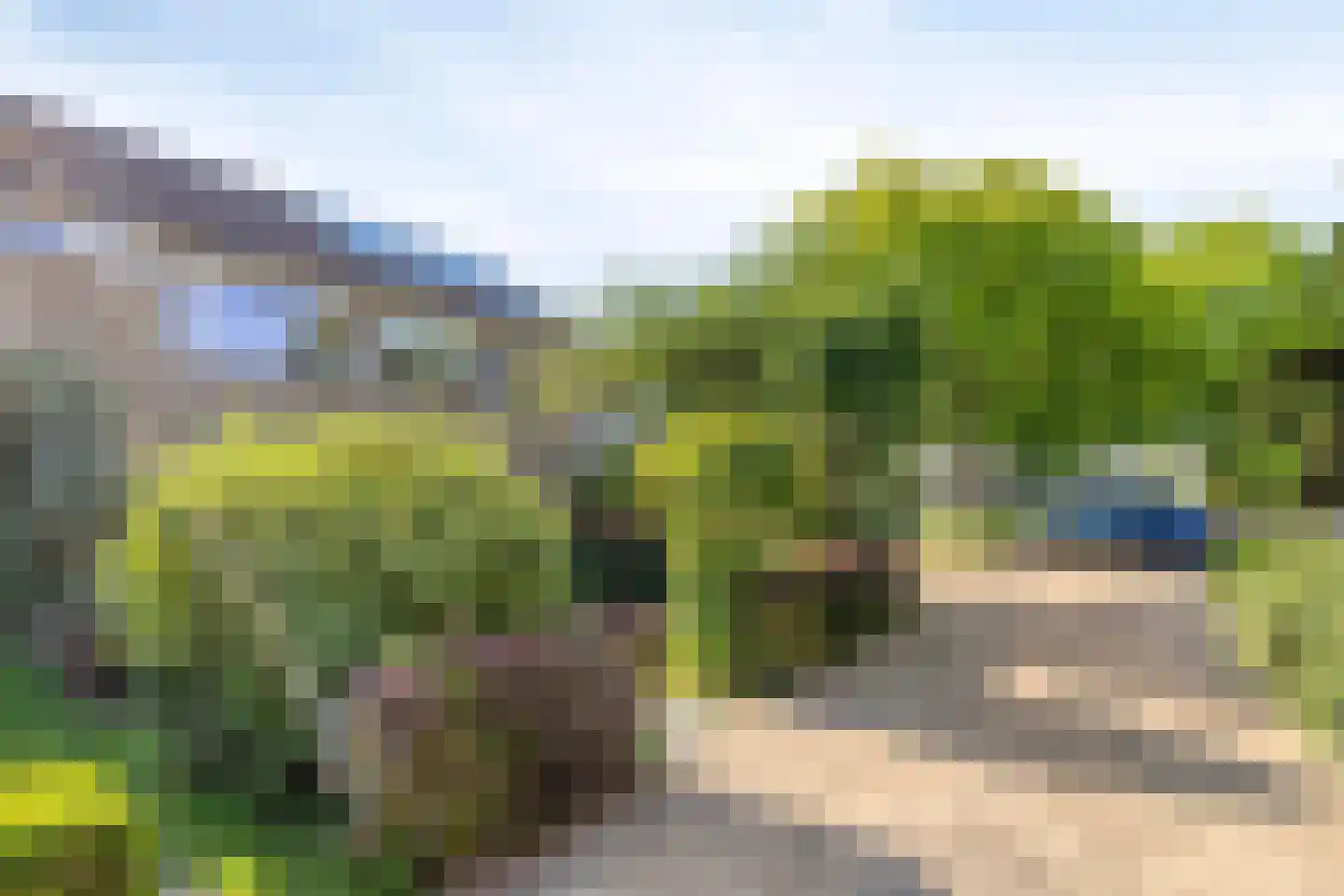 Holleweg 187 Bergen op Zoom thumbnail 6