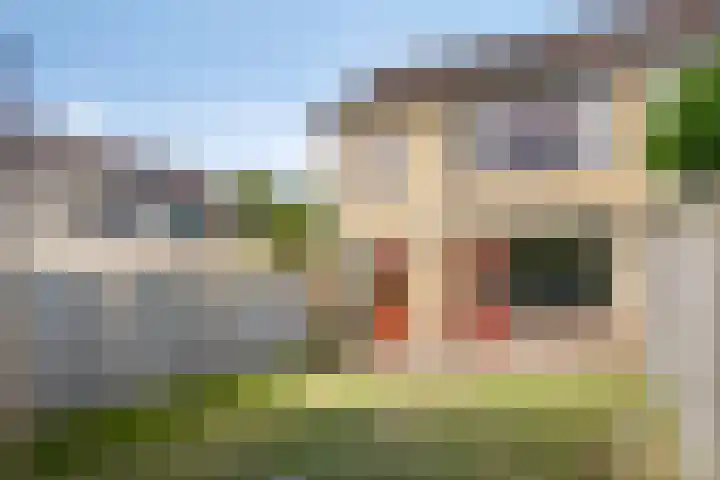 Holleweg 189 Bergen op Zoom thumbnail 25