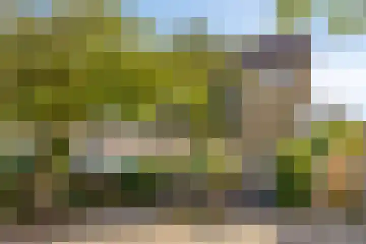 Holleweg 189 Bergen op Zoom thumbnail 30
