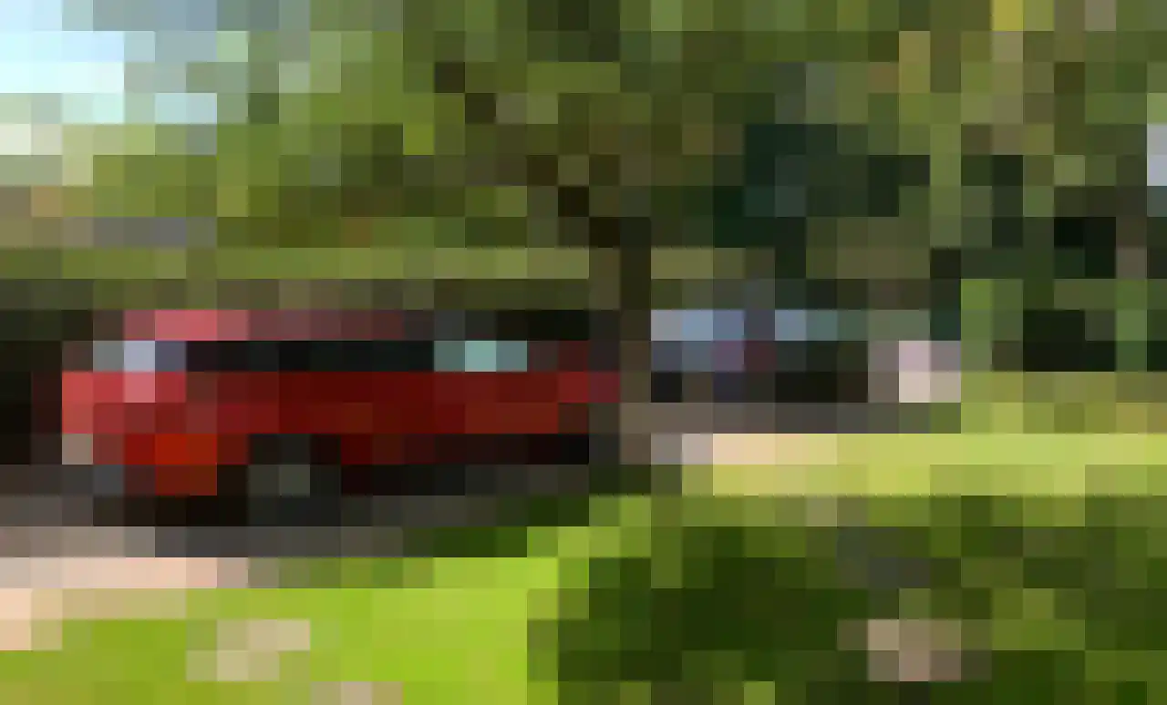 Holleweg 19 Amerongen thumbnail 35