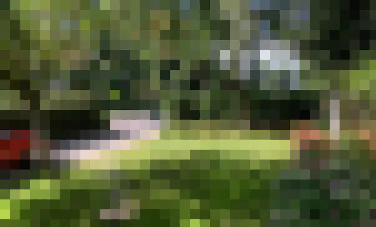 Holleweg 19 Amerongen thumbnail 36