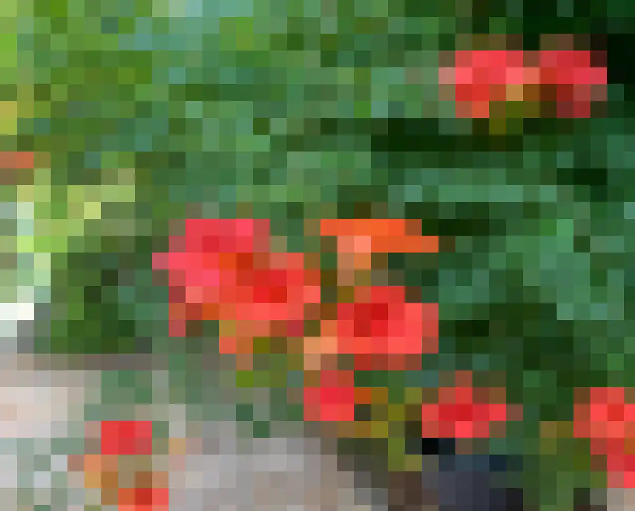 Holleweg 19 Amerongen thumbnail 37