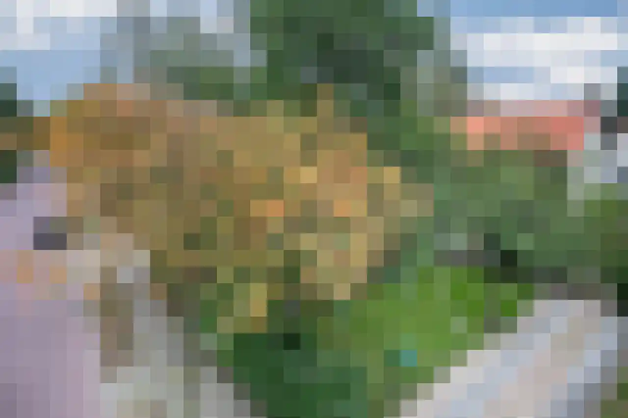 Holleweg 19 Amerongen thumbnail 4