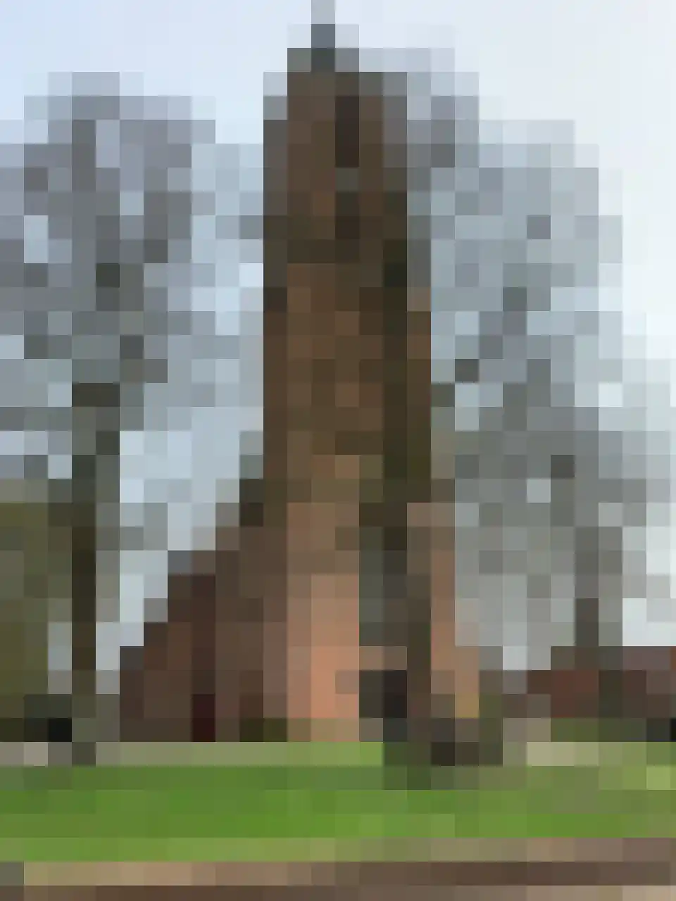 Holleweg 19 Amerongen thumbnail 45