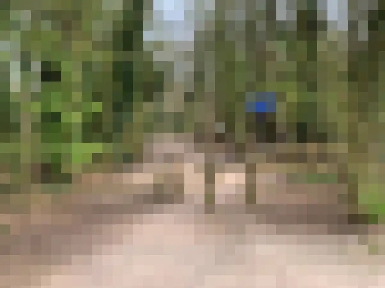 Holleweg 19 Amerongen thumbnail 46