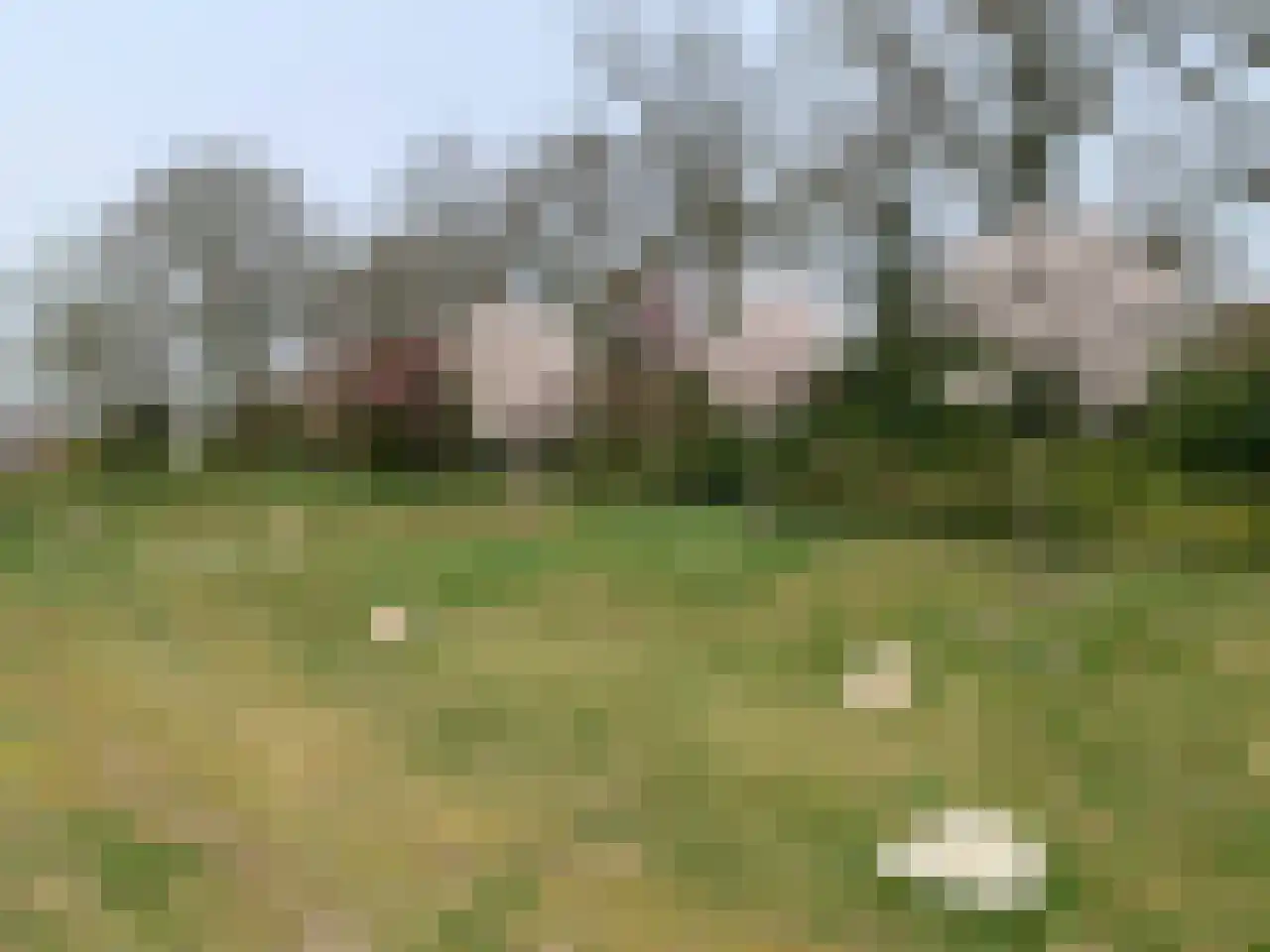 Holleweg 19 Amerongen thumbnail 47