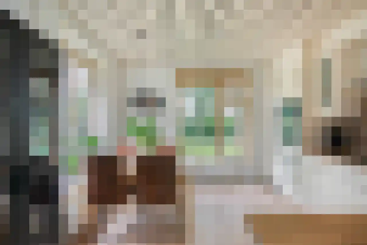 Holleweg 19 Amerongen thumbnail 8