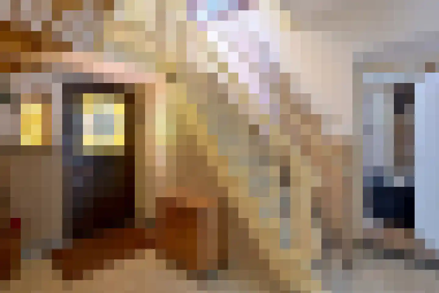 Holleweg 2 Epse thumbnail 10