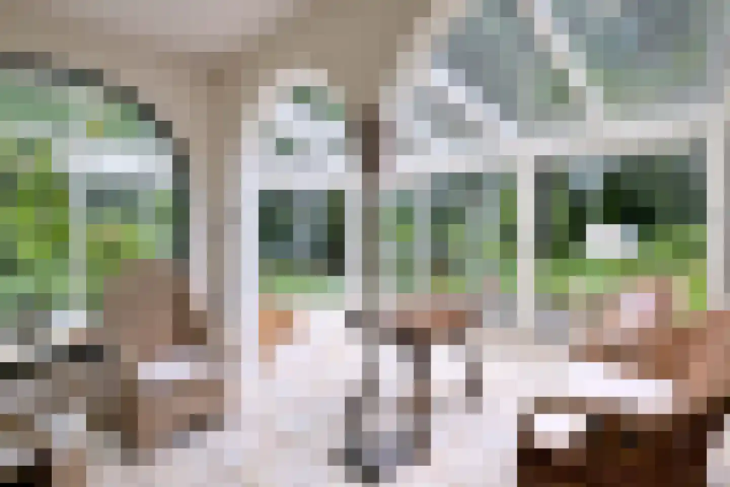 Holleweg 2 Epse thumbnail 19