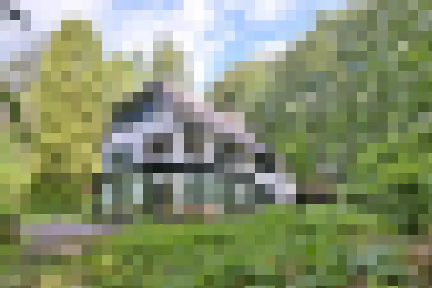 Holleweg 2 Epse foto 2