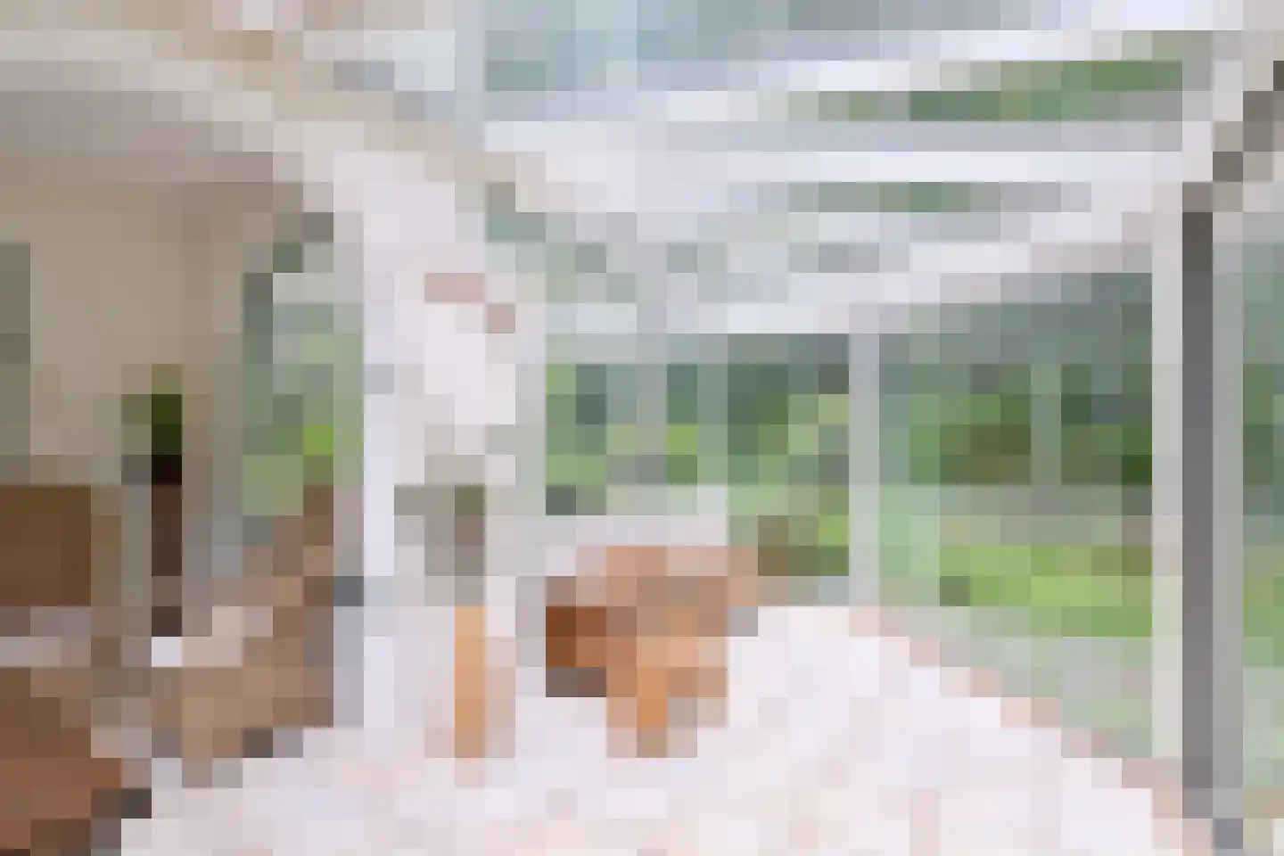Holleweg 2 Epse thumbnail 20