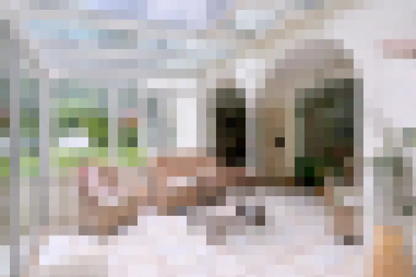 Holleweg 2 Epse thumbnail 21