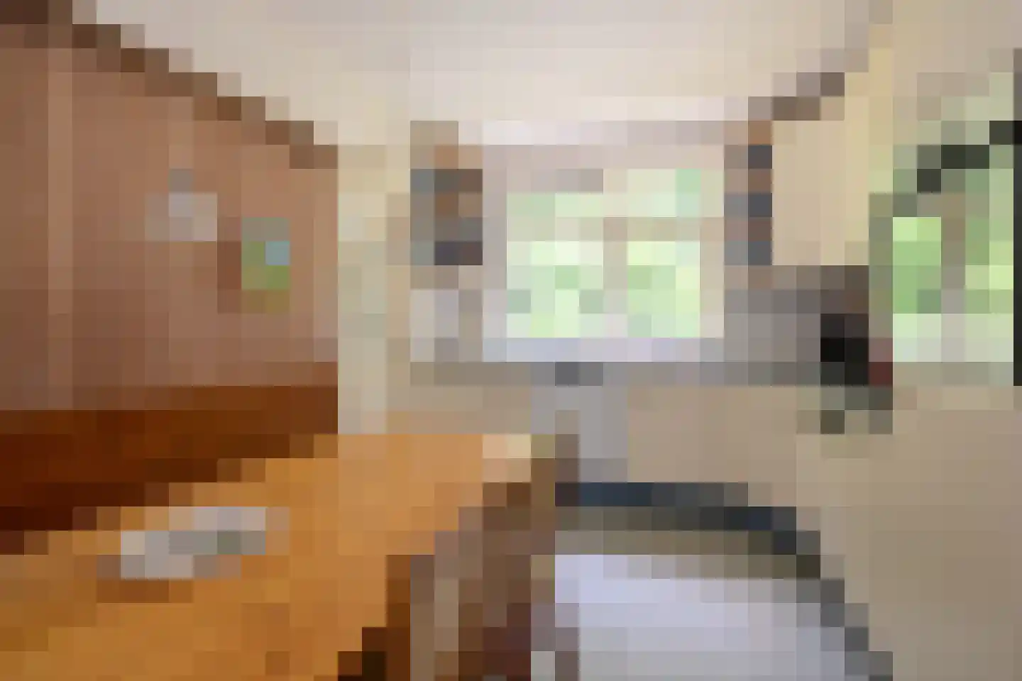 Holleweg 2 Epse thumbnail 23