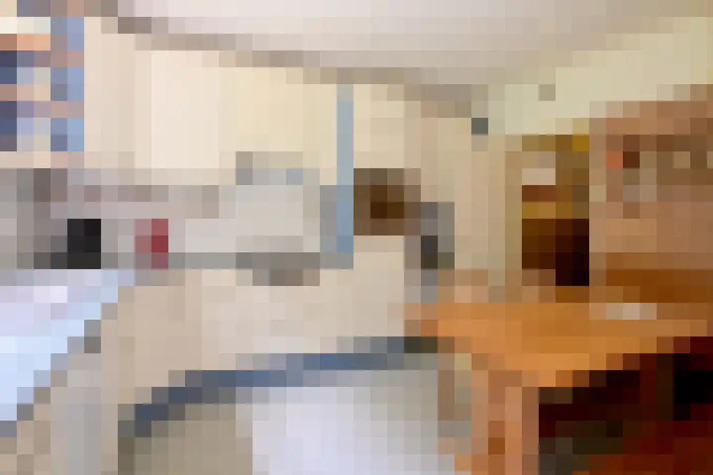 Holleweg 2 Epse thumbnail 24
