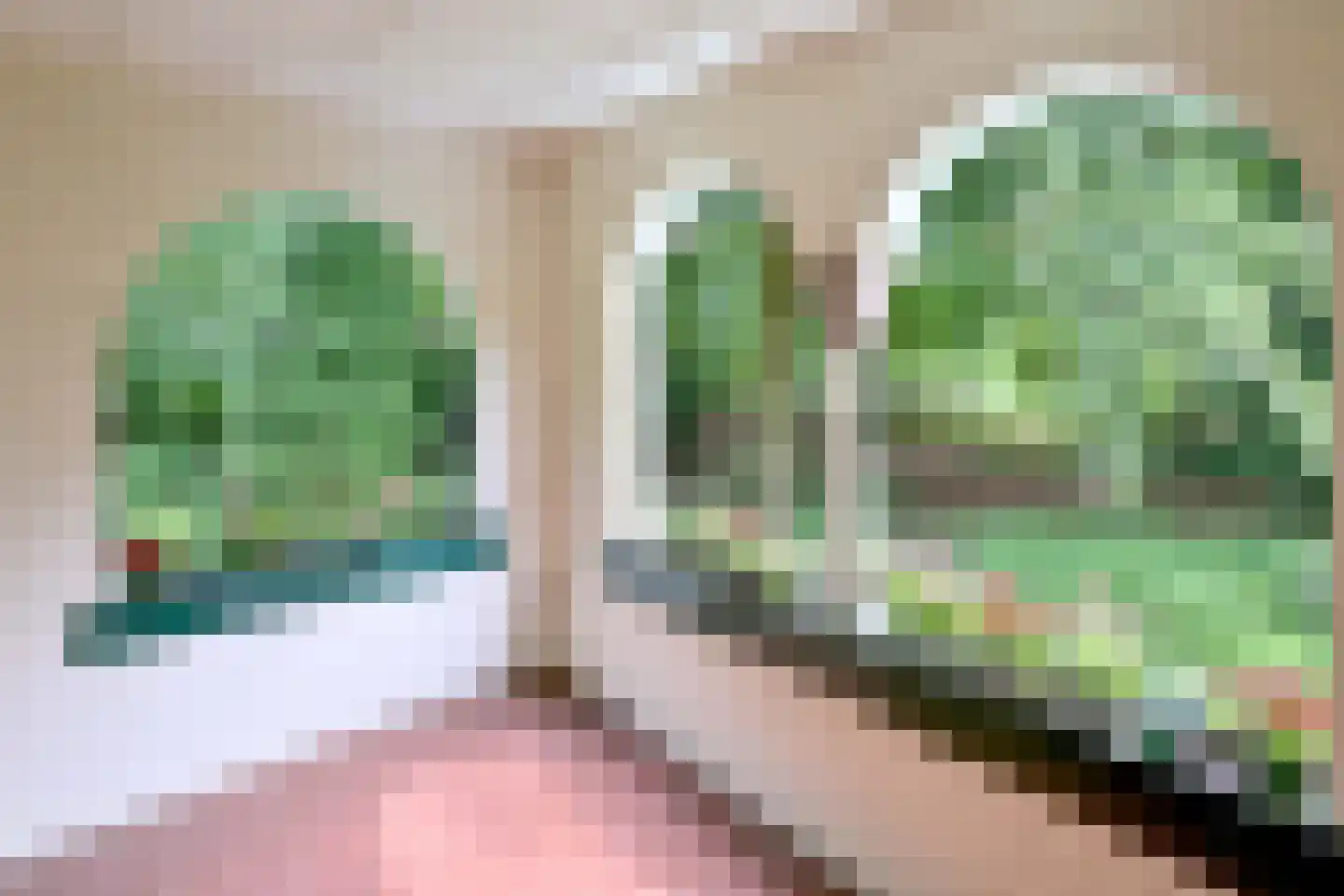 Holleweg 2 Epse thumbnail 28