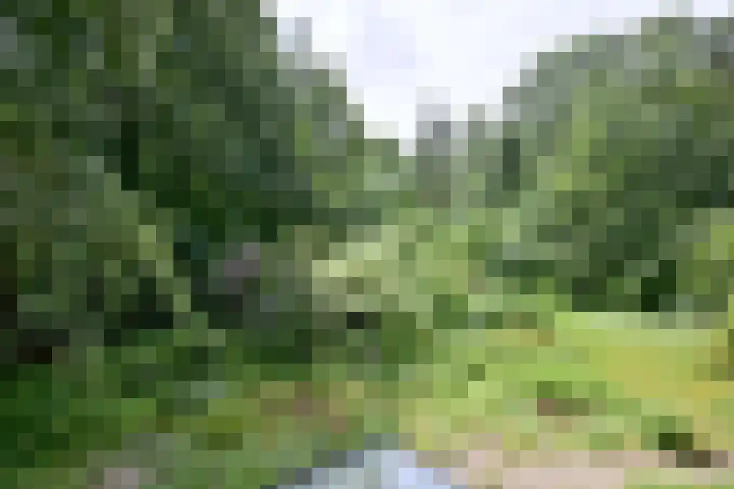 Holleweg 2 Epse thumbnail 29