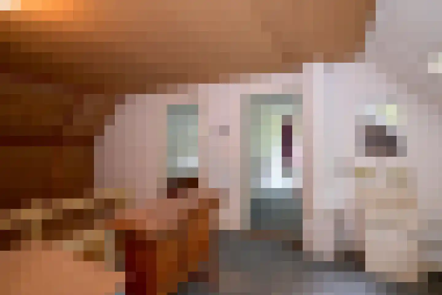 Holleweg 2 Epse thumbnail 37
