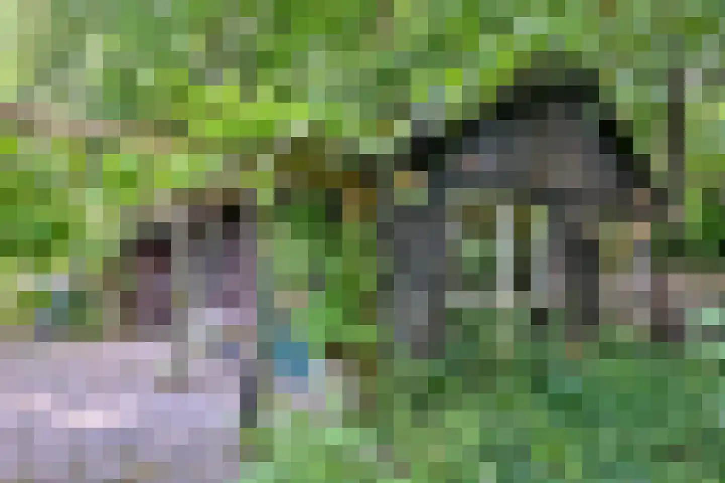 Holleweg 2 Epse thumbnail 4