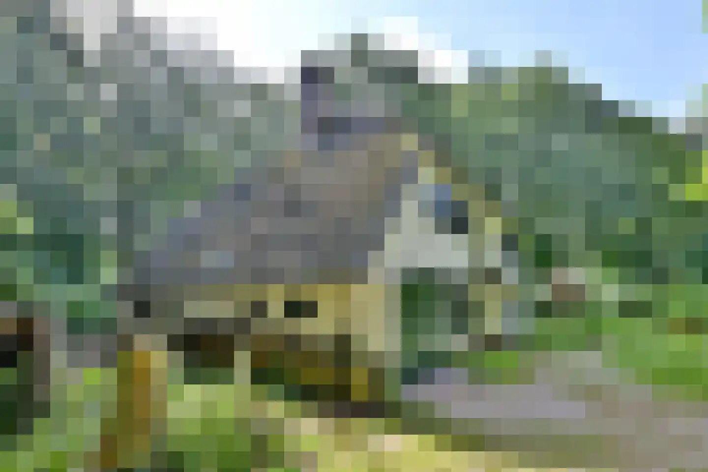 Holleweg 2 Epse thumbnail 40