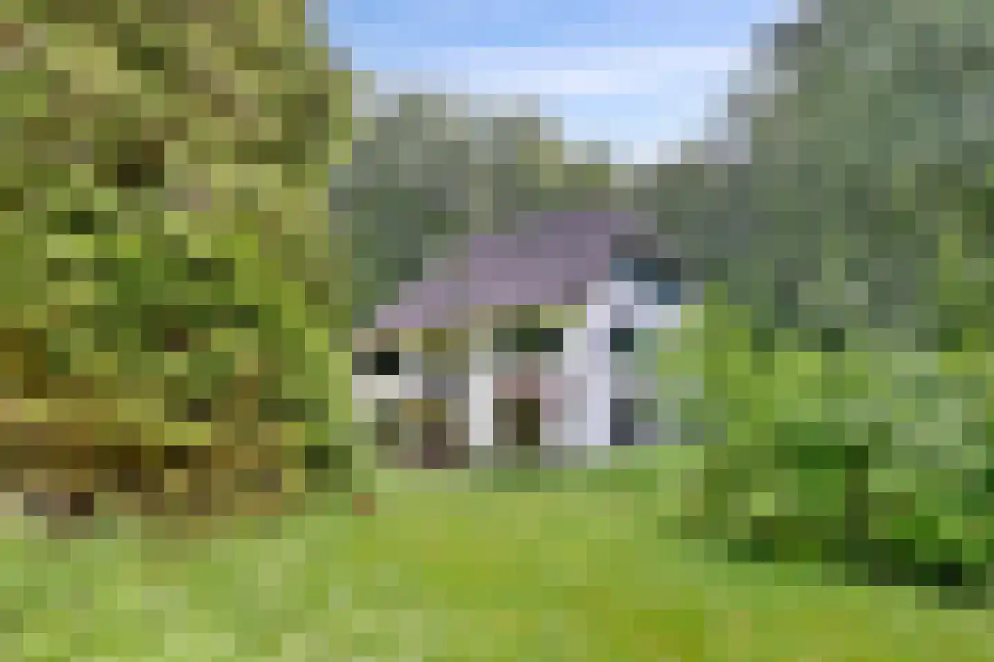 Holleweg 2 Epse thumbnail 44
