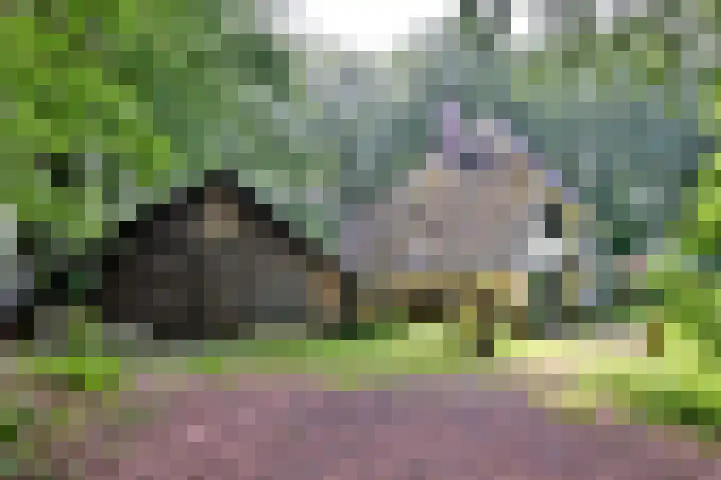 Holleweg 2 Epse thumbnail 45