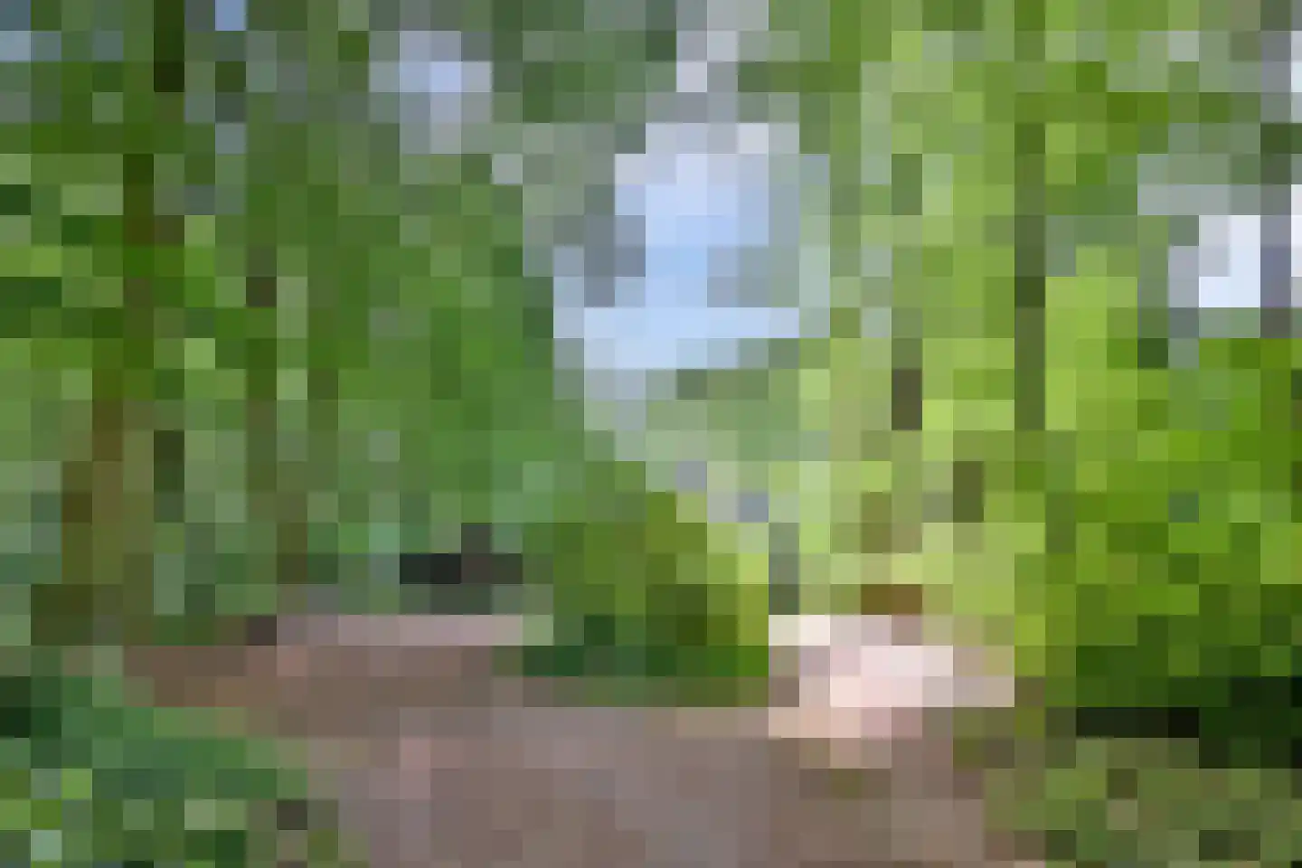 Holleweg 2 Epse thumbnail 46