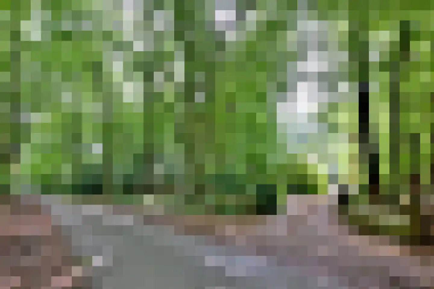 Holleweg 2 Epse thumbnail 47