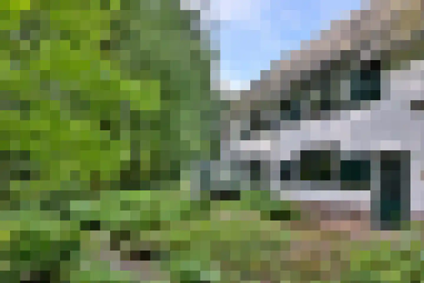 Holleweg 2 Epse thumbnail 5