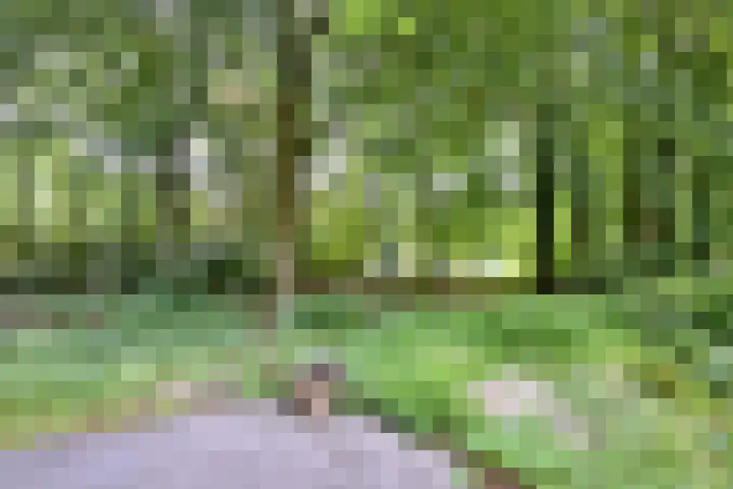 Holleweg 2 Epse thumbnail 6