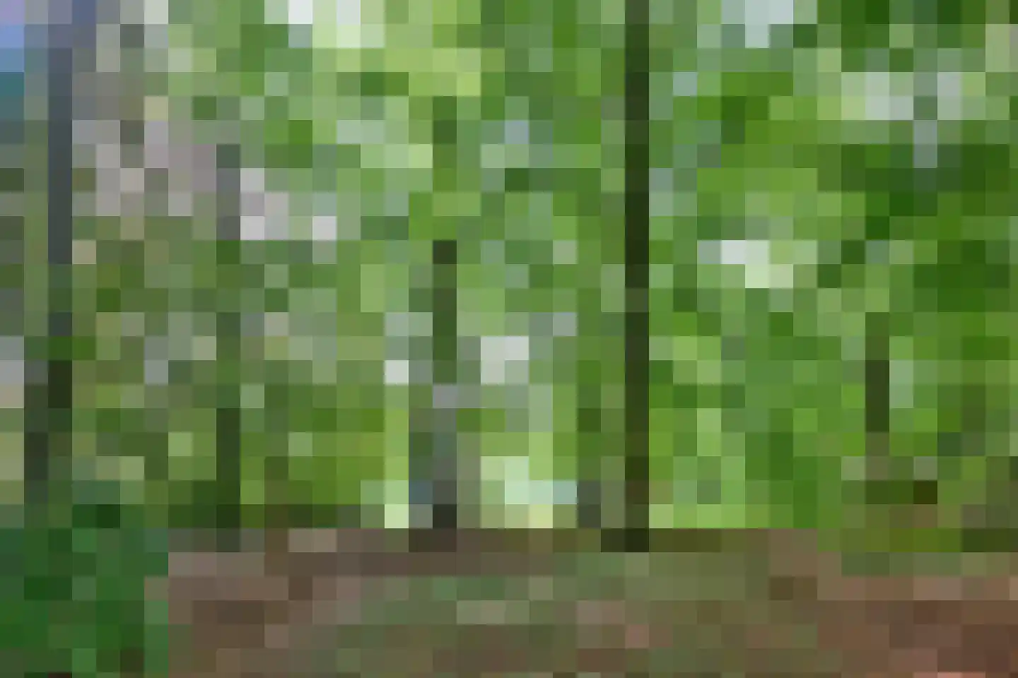 Holleweg 2 Epse thumbnail 7