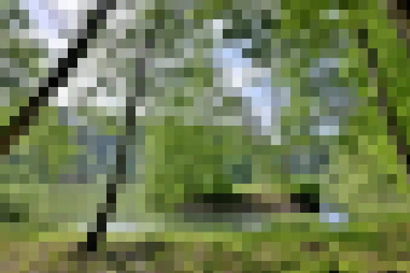 Holleweg 2 Epse thumbnail 8