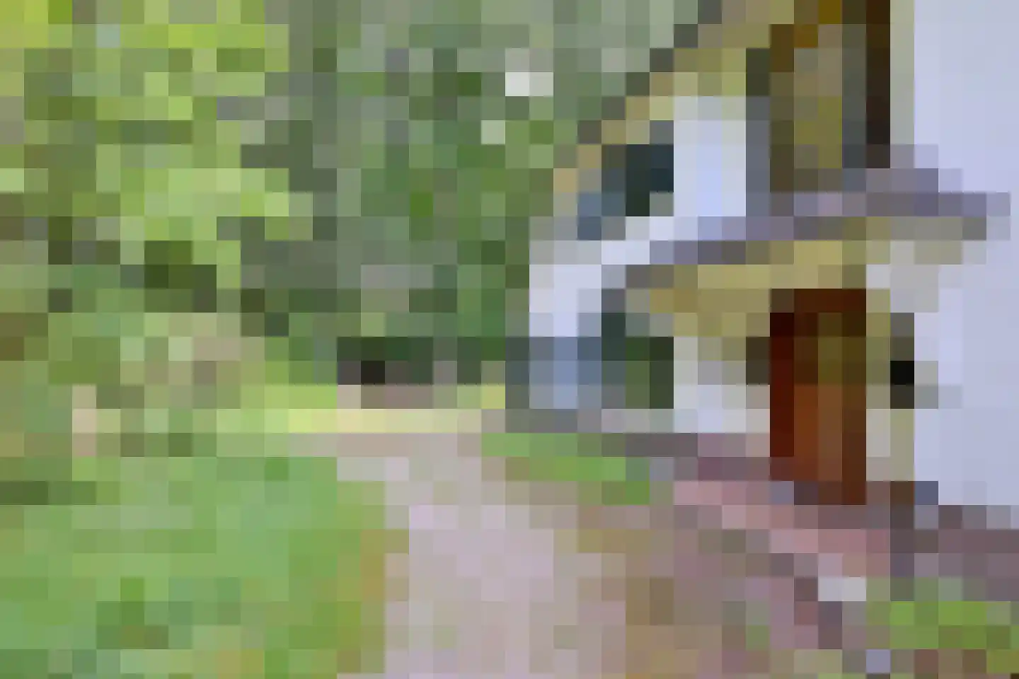 Holleweg 2 Epse thumbnail 9
