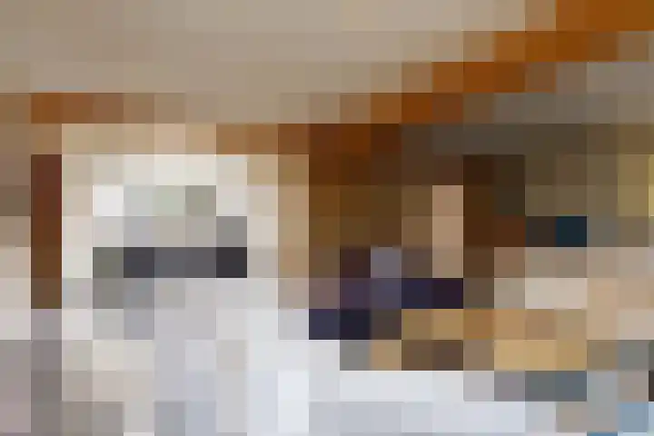 Holleweg 22 Schinnen thumbnail 10