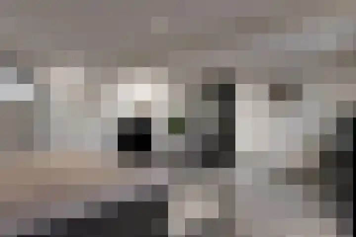 Holleweg 22 Schinnen thumbnail 26
