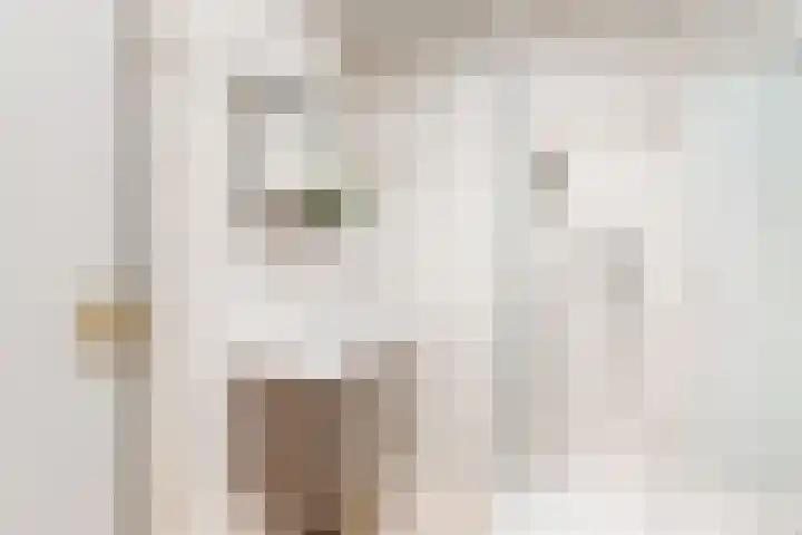 Holleweg 22 Schinnen thumbnail 27