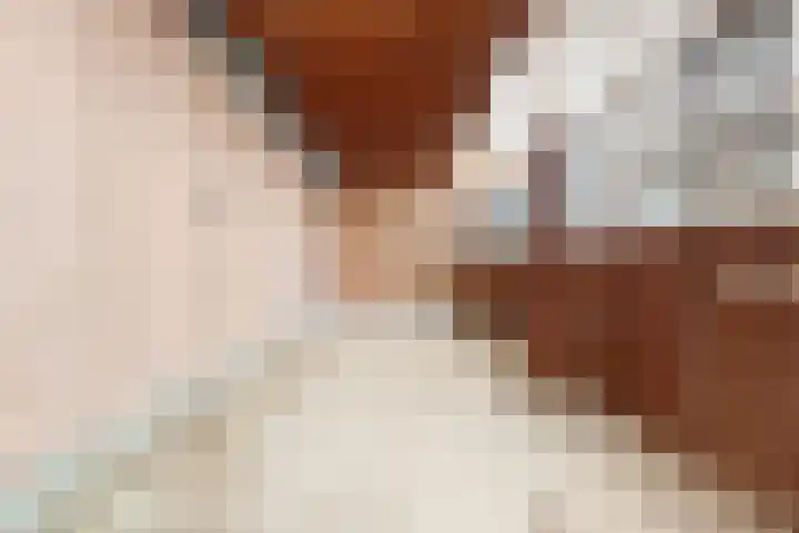 Holleweg 22 Schinnen thumbnail 43